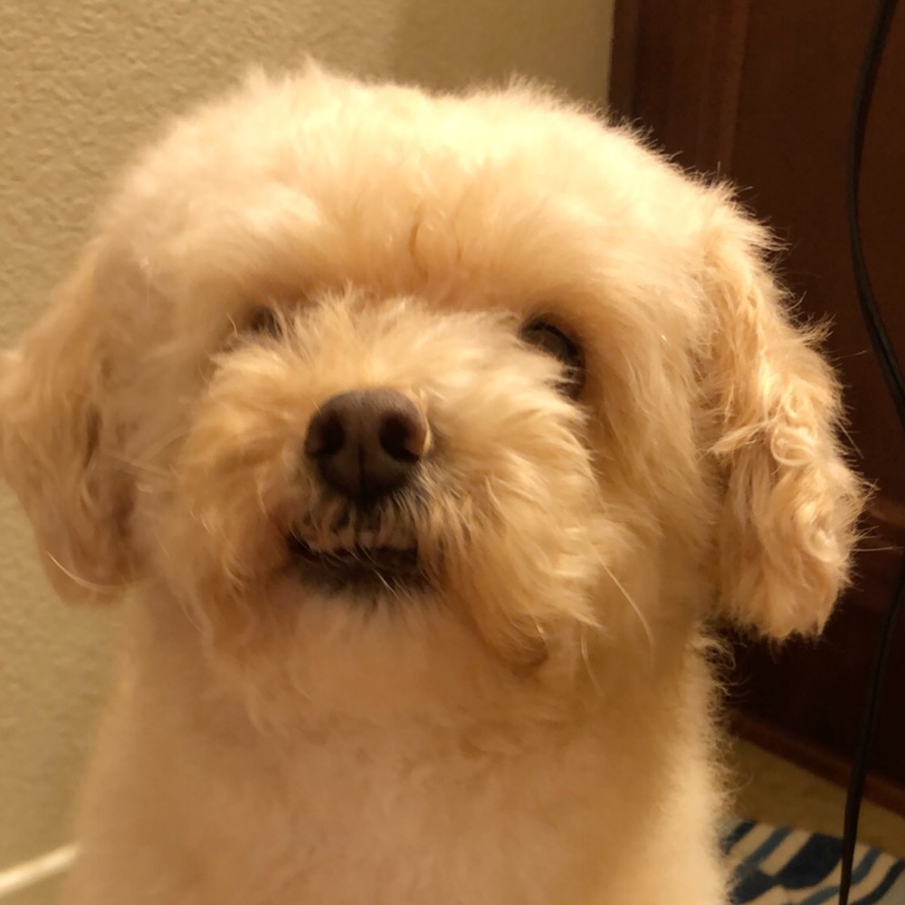 Meet your Posher, Gabriela